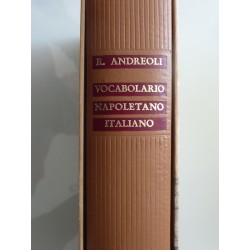 VOCABOLARIO NAPOLETANO  - ITALIANO