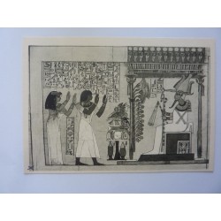 Lotto Cartoline "MUSEO EGIZIO DI TORINO"