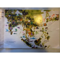 L'AFFASCINANTE ORIENTE  SAS SCANDINAVIAN AIRLINES