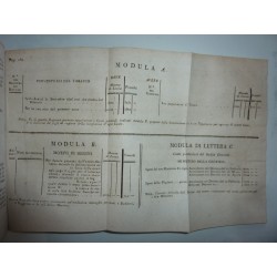 BOLLETTINO OFFICIALE DELLE LEGGI, E DECRETI DEL PRINCIPATO LUCCHESE Da Gennajo a tutto Marzo 1807 Tomo IV Parte I