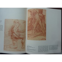 I DISEGNI DEL CODICE RESTA