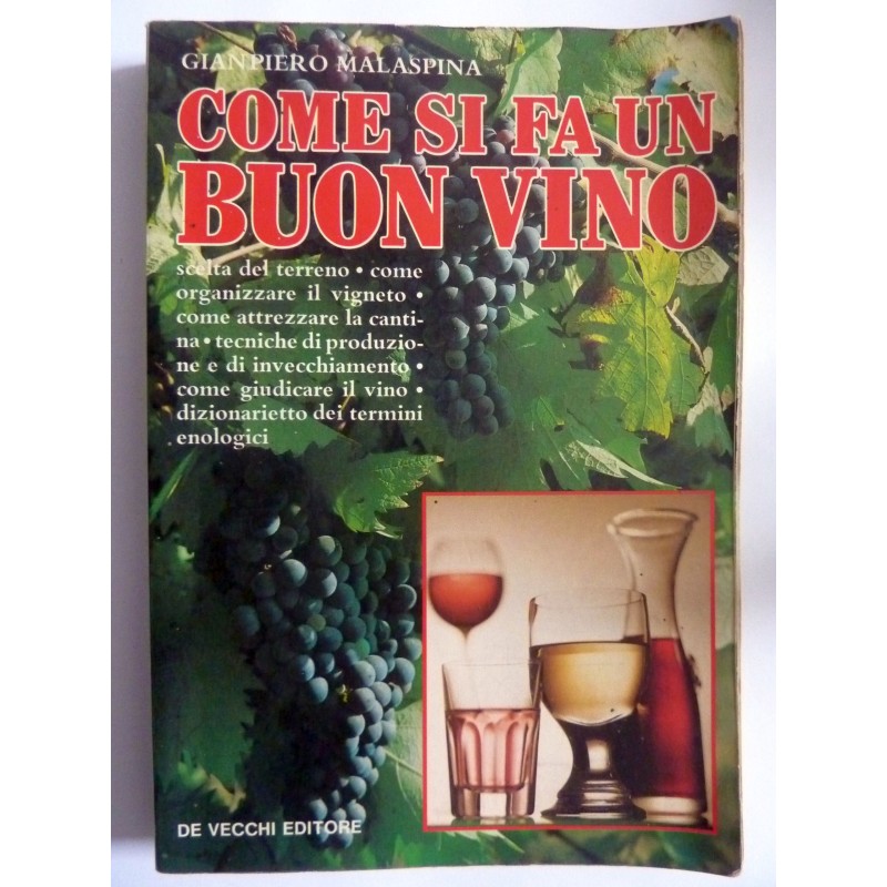 COME SI FA UN BUON VINO