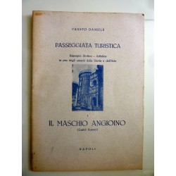 PASSEGGIATA  TURISTICA  1  IL MASCHIO ANGIOINO  ( Castel Nuovo )