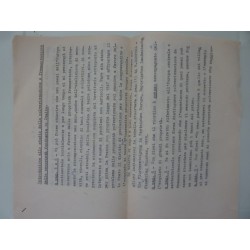 INTRODUZIONE ALLO STUDIO DELLA POLVERIZZAZIONE E FRAMMENTAZIONE  DELLA PROPRIETA' FONDIARUA - BOZZA