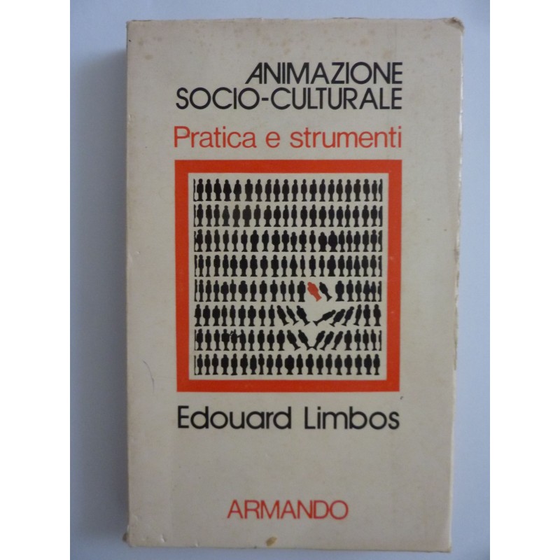 PRATICA E STRUMENTI DELLE ANIMAZIONI SOCIO - CULTURALI