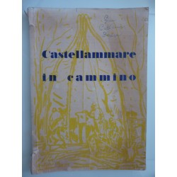 CASTELLAMMARE DI STABIA  SEI ANNI DI AMMINISTRAZIONE COMUNALE 1954  - 1960