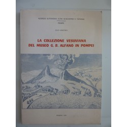 LA COLLEZIONE VESUVIANA DEL MUSEO G.B. ALFANO IN POMPEI