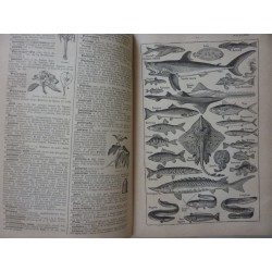 LAROUSSE CLASSIQUE ILLUSTRE' NOVEAU DICTIONNAIRE ENCYCLOPEDIQUE PAR CLAUDE AUGE'