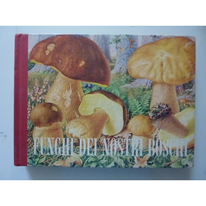 FUNGHI DEI NOSTR BOSCHI