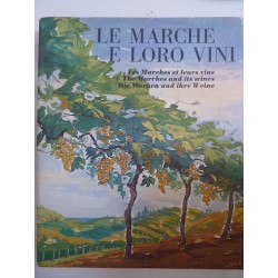 LE MARCHE E I LORO VINI