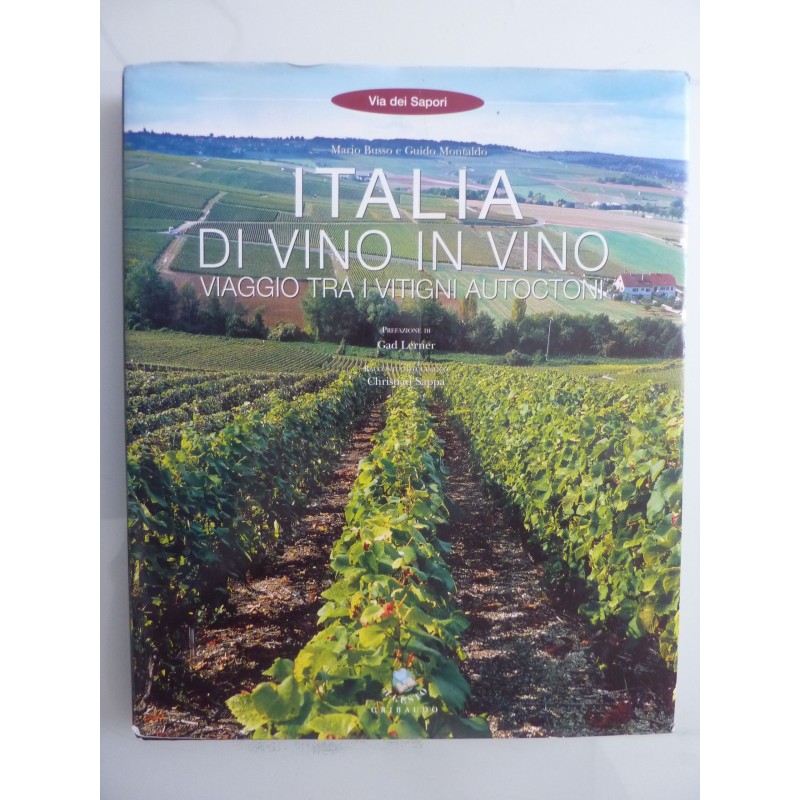 ITALIA DI VINO IN VINO VIAGGIO TRA I VITIGNI AUTOCTONI