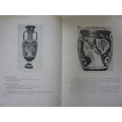 HEAD VASES IN PADULA