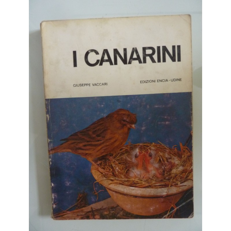 IL CANARINO