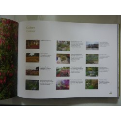 Forme ed Architetture di Giardini - Garden shapes and landscapes
