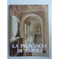 LA PROVINCIA DI NAPOLI Novembre - Dicembre 1979