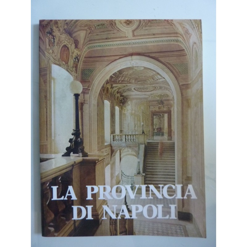 LA PROVINCIA DI NAPOLI Novembre - Dicembre 1979