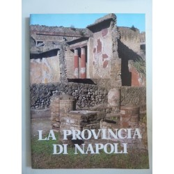 LA PROVINCIA DI NAPOLI Gennaio - Febbraio 1980