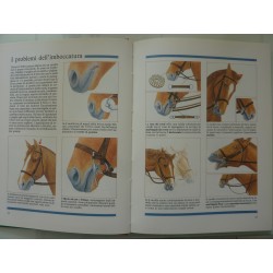 ENCICLOPEDIA ILLUSTRATA DEL CAVALIERE NOZIONI FONDAMENTALI