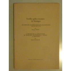 Fouilles gallo - romaines de Martigny RECHERCHES ARCHEOLOGIQUES AUX MORASSES EN 1975 ET 1976 - A PROPOS DE LA DECOUVERTE DE SIGI