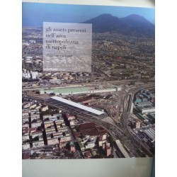 GLI ASSETS PRESENTI NELL'AREA METROPOLITANA DI NAPOLI Attuazioni e Sviluppo