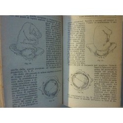 L'OSTETRICO PRATICO TRATTATO DI OSTRTRICIA IMPRONTATO ALLA PRATICA