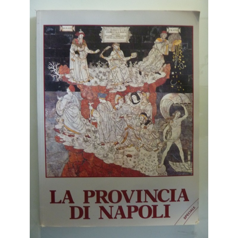 LA PROVINCIA DI NAPOLI Rivista dell'Amministrazione Provinciale  Anno  X Dicembre 1988