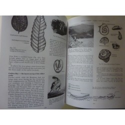 FIELD GUIDE TO NEW ZEALAND GEOLOGY An introduction to Rocks, Minerals, Fossils