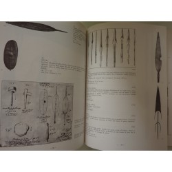 ORAZIO ANTINORI IN AFRICA CENTRALE 1859 - 1861, MATERIALI E DOCUMENTI INEDITI