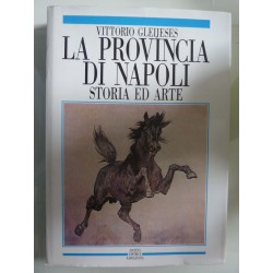 LA PROVINCIA DI NAPOLI STORIA ED ARTE