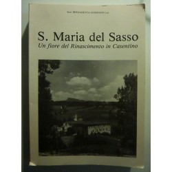 S. MARIA DEL SASSO Un fiore del Rinascimento in Casentino