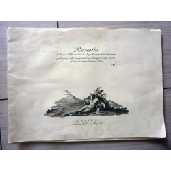 Raccolta delle più belle vedute di Napoli e dei suoi dintorni per la prima volta disegnate dal vero dal Signor Luigi Fergola ed 