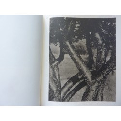 ALFRED STIEGLITZ: PHOTOGRAPHER