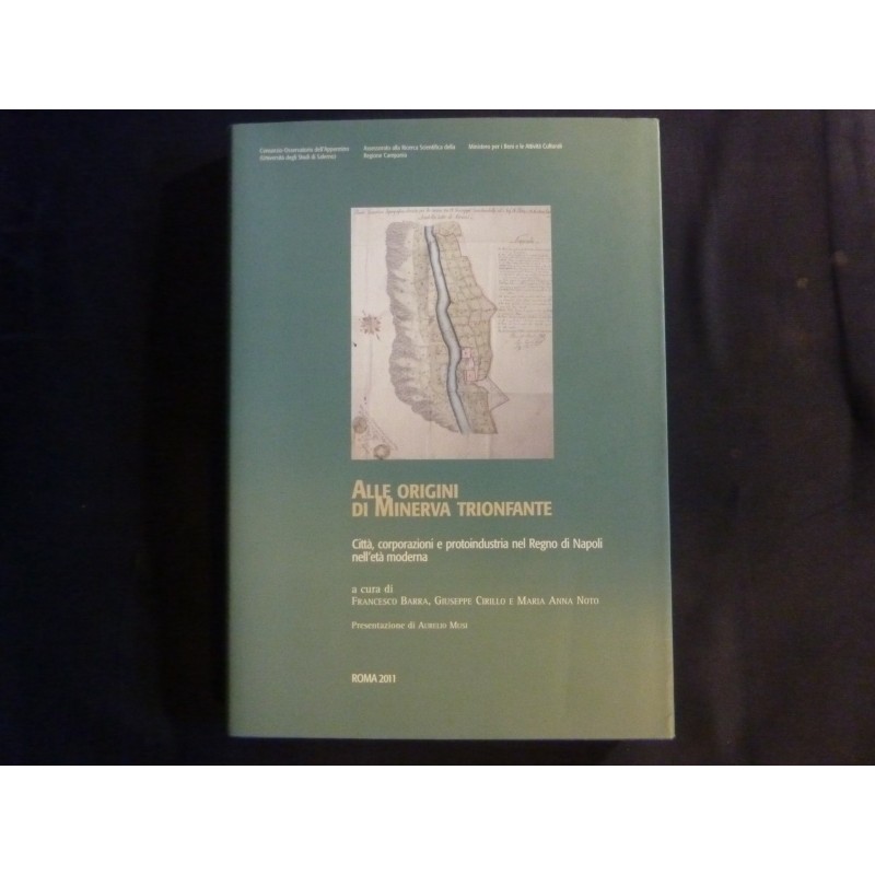 ALLE ORIGINI DI MINERVA TRIONFANTE Città ,corporazioni e protoindustria nel Regno di Napoli nell'età moderna