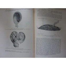 TRATTATO COMPLETO DI  OSTETRICIA Volume Primo - Secondo