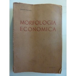 MORFOLOGIA ECONOMICA