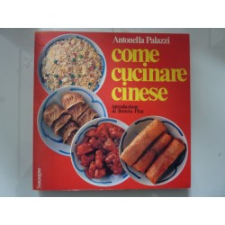 COME CUCINARE CINESE