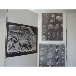 IL MUSEO ARCHEOLOGICO NAZIONALE DEGLI ABRUZZI CHIETI