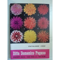 Ditta Domenico Pagano SCAFATI ( Salerno ) CATALOGO 1966