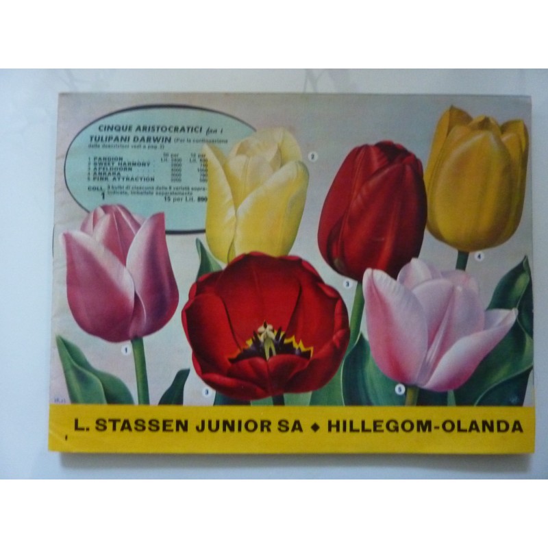 L. STASSEN JUNIOR SA HILLEGOM OLANDA  CATALOGO AUTUNNO 1956