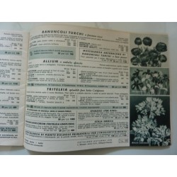 L. STASSEN JUNIOR SA HILLEGOM OLANDA  CATALOGO AUTUNNO 1956