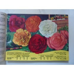 L. STASSEN JUNIOR SA HILLEGOM OLANDA  CATALOGO PRIMAVERA 1957