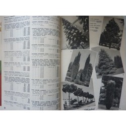 ANSALONI  BOLOGNA PIANTE - SEMENTI Catalogo 1954 - 1955