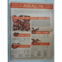 Piante Sementi  ANSALONI Bologna  Semestrale  n.° 51  Ottobre 1947