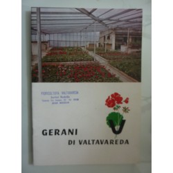 GERANI DI VALTAVAREDA Floricoltura Valtavareda, Brescia