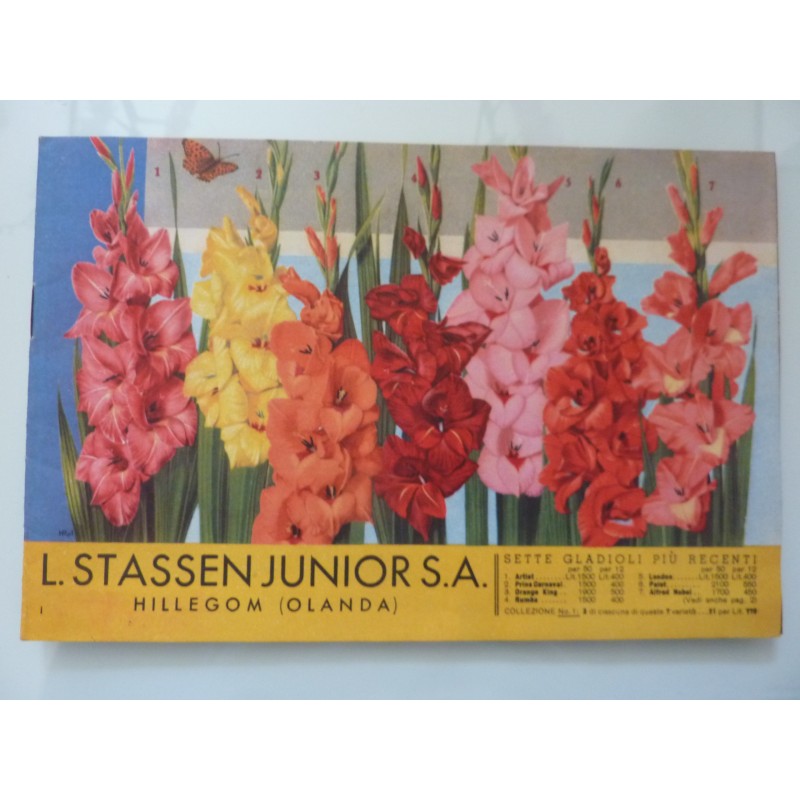 L. STASSEN JUNIOR SA HILLEGOM OLANDA  CATALOGO  PRIMAVERA 1953