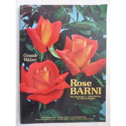 ROSE BARNI Settembre 1978