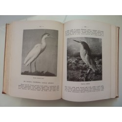 IL LIBRO DEGLI UCCELLI ITALIANI MANUALE DI ORNITOLOGIA ITALIANA Elenco descrittivo delle specie stazionarie e di passo anche in 