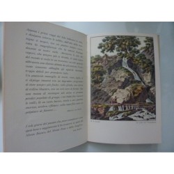 SVIZZERA ROMANTICA Nella letteratura e nell'arte grafica dal XVIII e del XIX  secolo