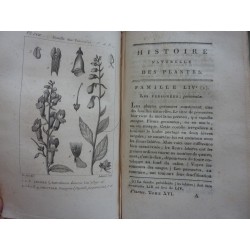 HISTOIRE NATURELLE GENERALE ET PARTICULIERE DES PLANTES Tome Quinzieme - Tome Seizieme