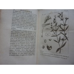 HISTOIRE NATURELLE GENERALE ET PARTICULIERE DES PLANTES Tome Quinzieme - Tome Seizieme